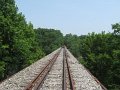 IMG_1589