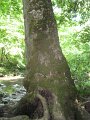 IMG_1596
