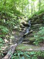 IMG_1597