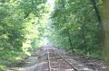 IMG_3162