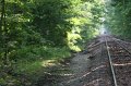 IMG_3163