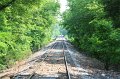 IMG_1319