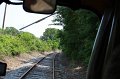 IMG_1330